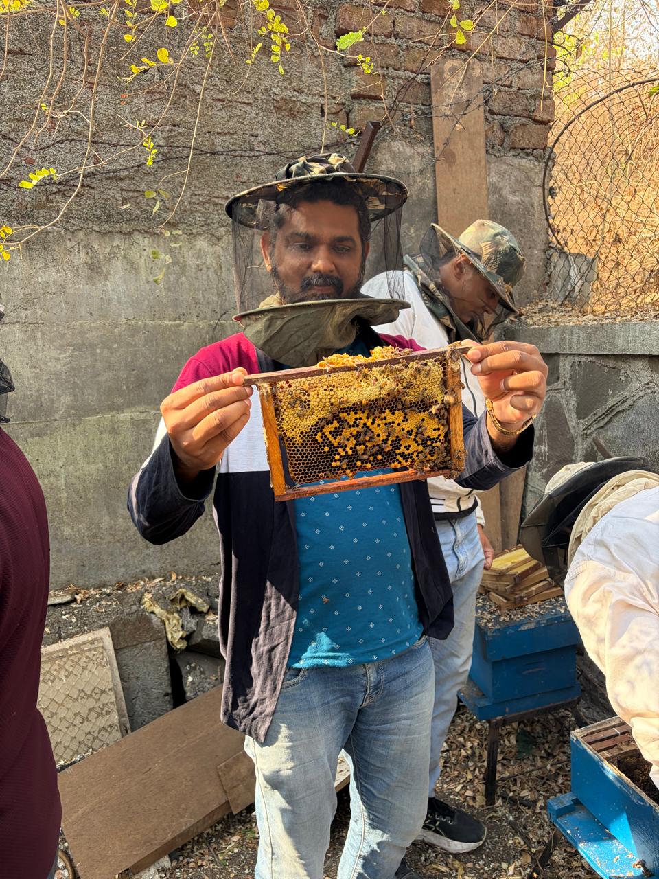 Inspecting Bee Frames